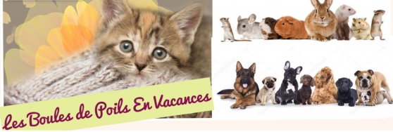 garde animaux
