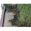 TERRAIN PLAT AVEC BATIMENT A RENOVER