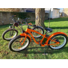 Vélo Lot de deux Fat Bike électriques